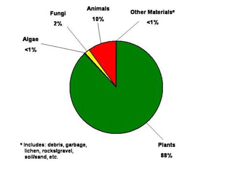 Food Habits of Feral Hogs – Feral Hogs