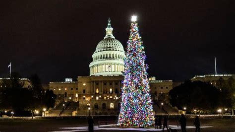 AHF Products to Sponsor 2022 U.S. Capitol Christmas Tree | FLOOR Trends & Installation