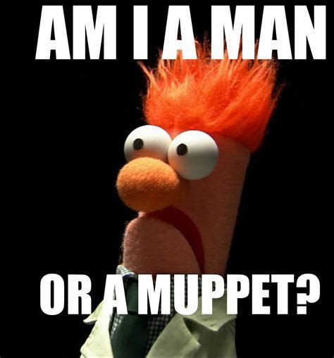 Beaker muppet Memes