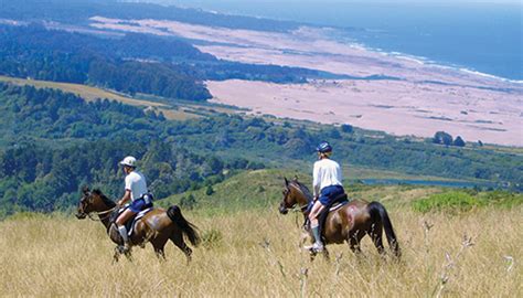 Endurance Horseback Riding 101