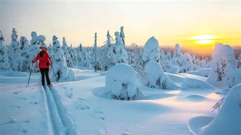 Cheap Flights to Lapland from £20 - KAYAK