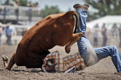 Under Kody's Hat: Steer Wrestling Terminology