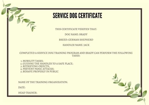 How to Get a Legitimate Service Dog Certificate