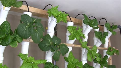 Basement Hydroponic Tower Garden Version 2.0 - Gardening Chronicle