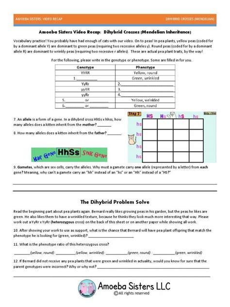 Amoeba Sisters Prokaryotes And Eukaryotes Worksheet