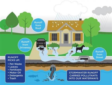 Steps to Prevent Stormwater Runoff Pollution | Susquehanna PA