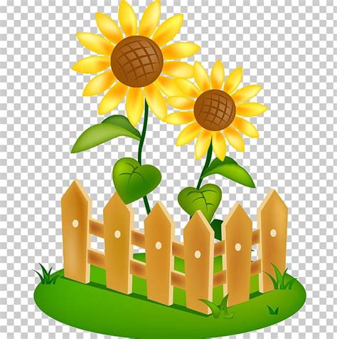 Common Sunflower August Season 0 Bon Festival PNG, Clipart, 2017, August, Bon Festival ...