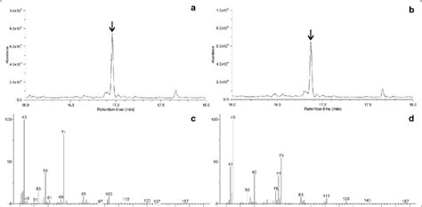 Identification of mevalonic acid lactones by GC-MS. Total ion ...