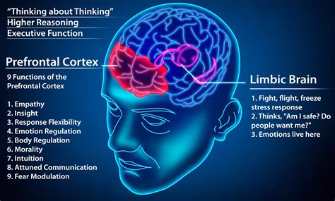 Neuroscience of Dating – Dating Advice for the Brain