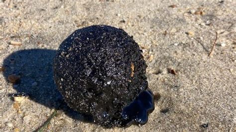 Coast guard to investigate tar balls found on Long Branch beaches