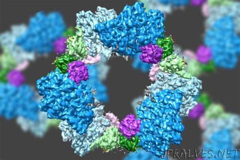 Scientists deliver high-resolution glimpse of enzyme structure - jpralves.net