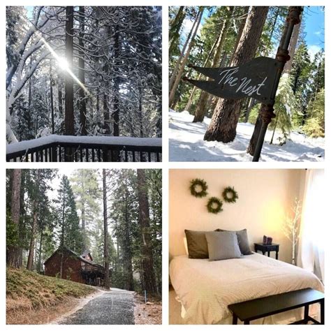 The Nest ~ Blue Lake Springs - Cabins for Rent in Arnold, California ...