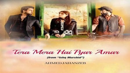 TERA MERA HAI PYAR LYRICS - Ishq Murshid | OST