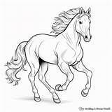 Mustang Horse Coloring Pages  Free & Printable sketch template