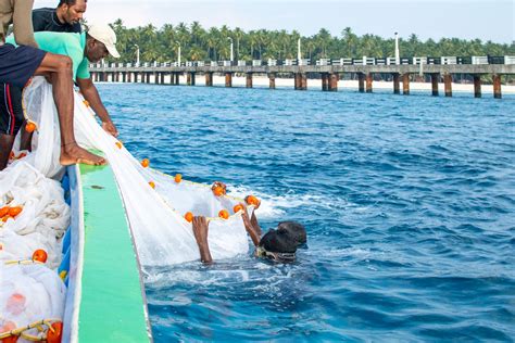 The Great Coral Grief of Lakshadweep islands | United Nations ...