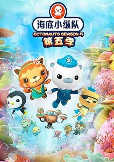 The Octonauts Season 5 - watch episodes streaming online