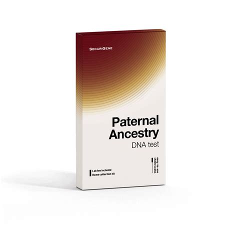 DNA Paternal Ancestry Test - SecuriGene