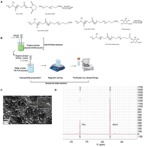 | Chemical synthesis and characterization of PLGA-PEG nanoparticles ...