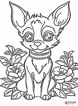 Chihuahua Coloring Pages Printable For Free Download sketch template
