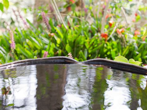 How to Water Plants Effectively: 12 Steps (with Pictures)