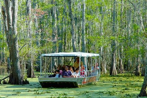 TripAdvisor | New Orleans Swamp and Bayou Boat Tour (Self Transport) provided by Cajun ...