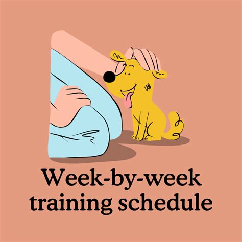 Week-by-week Puppy Training Schedule for 8-16 Weeks Old — Zigzag Puppy Training App