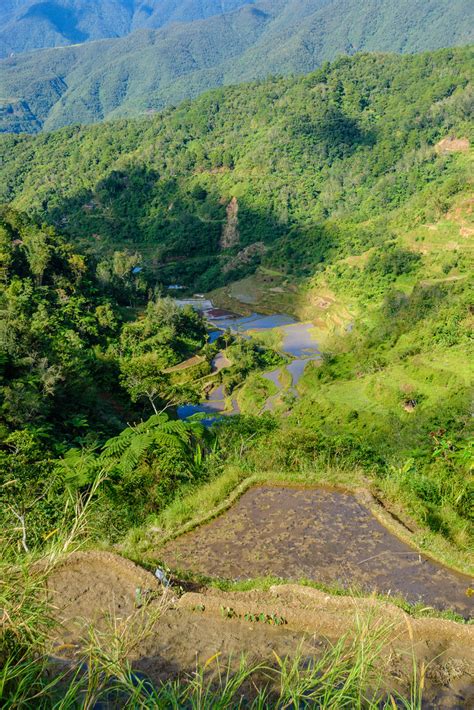 Elevation of Ifugao State University, Lagawe Campus, Lagawe, Ifugao, Philippines - Topographic ...