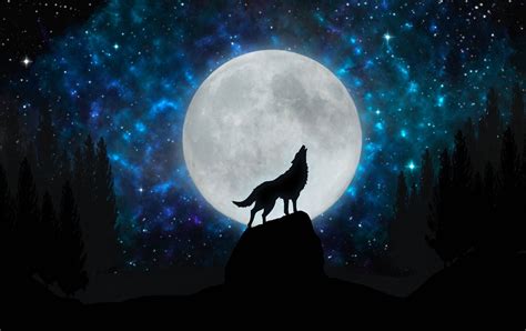 Real Howling Wolf Wallpaper