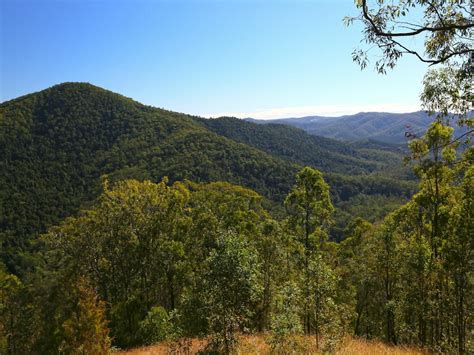 Conondale National Park - Attraction - Queensland