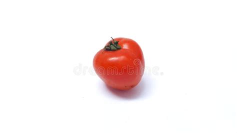 Tomato Isolated on White Background Stock Image - Image of gourmet ...