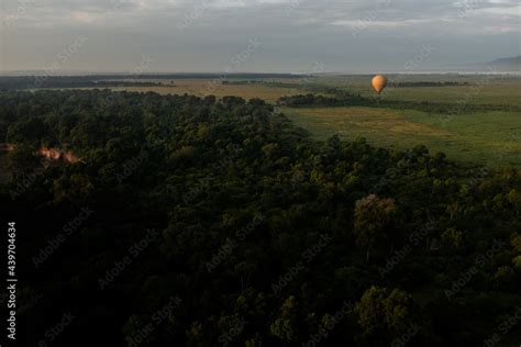 Kenya Safari Stock Photo | Adobe Stock