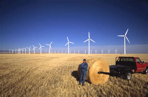 Does turbine noise affect human health? A look at the literature