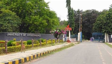 University of Hyderabad to recruit 114 faculty positions | Education News | Zee News