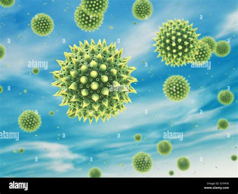 Airborne pollen grain , Hay fever , Pollen allergy Stock Photo - Alamy