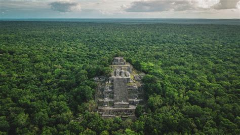 The site of Calakmul · Oasis Hotels Blog