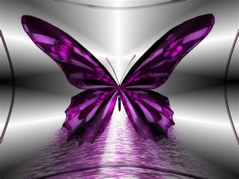 wallpaper: Butterfly Wallpapers