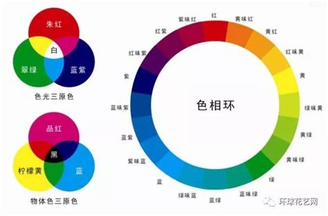 花艺色彩搭配小技巧——巧用12色轮_颜色