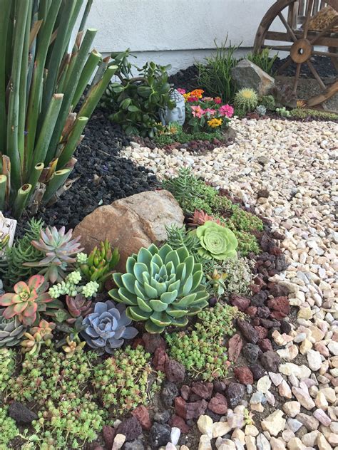 Pin de Jayr Zhel Jad en DIY landscaping with succulents | Jardines, Suculentas jardin, Jardín ...