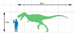 Gorgosaurus | Redpath Museum - McGill University