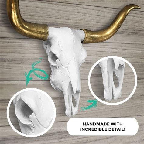 Longhorn Skull Wall Decor | Cow Skull Decor by Wall Charmers