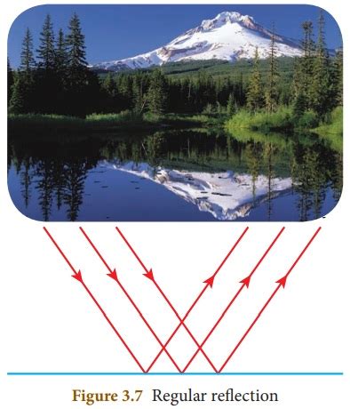 Types of Reflection - Light | Chapter 3 | 8th Science