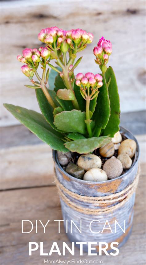 DIY Tin Can Planters Perfect For Succulents, Small Plants, and Flowers