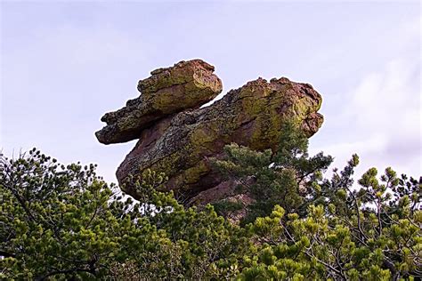 Duck on a Rock formation - Heart of Rocks Trail - Chiricah… | Flickr