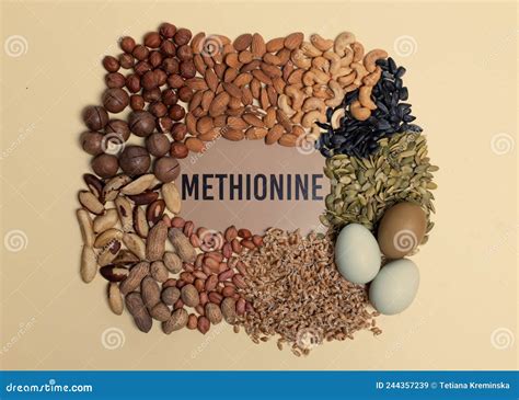 Foods Rich in Methionine. Natural Sources of Methionine are Various ...