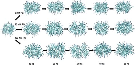 Snapshots of CTAB micelles in the aqueous solution environment... | Download Scientific Diagram