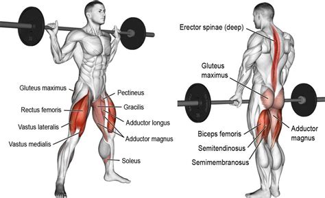 Squat Vs Deadlift Comparison: Which One is King? – Fitness Volt