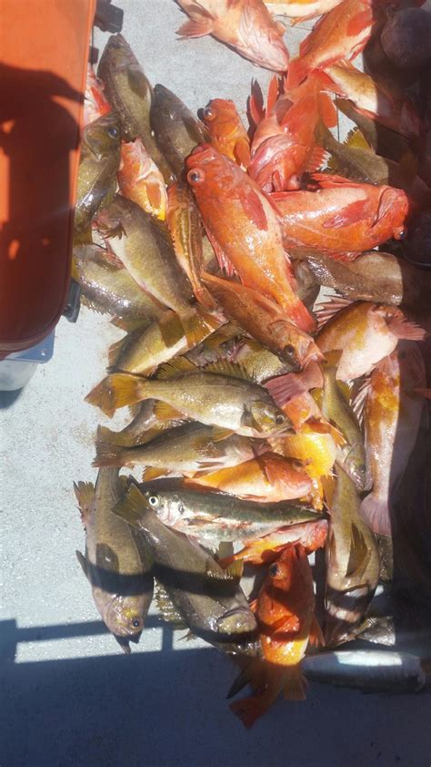 Crab Trips, Santa Cruz - Go Fish Santa Cruz Charters