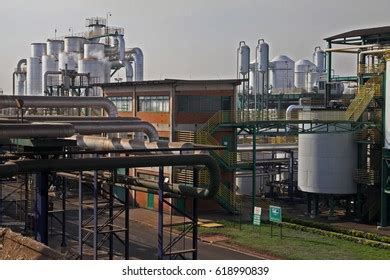 Sugarcane Plant Ethanol Production Stock Photo 618990839 | Shutterstock