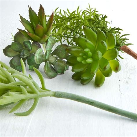 Assorted Artificial Succulents - Artificial Greenery - Floral Supplies - Craft Supplies ...