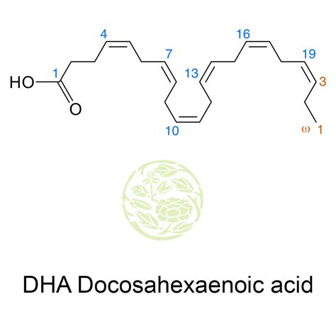 DHA oil | Docosahexaenoic Acid